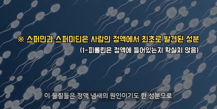 밤꽃 냄새가 그 냄새와 비슷한 이유_5.jpg