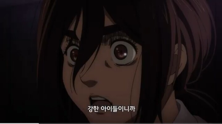 (진격의 거인) 가비 브라운의 입체성_3.jpg