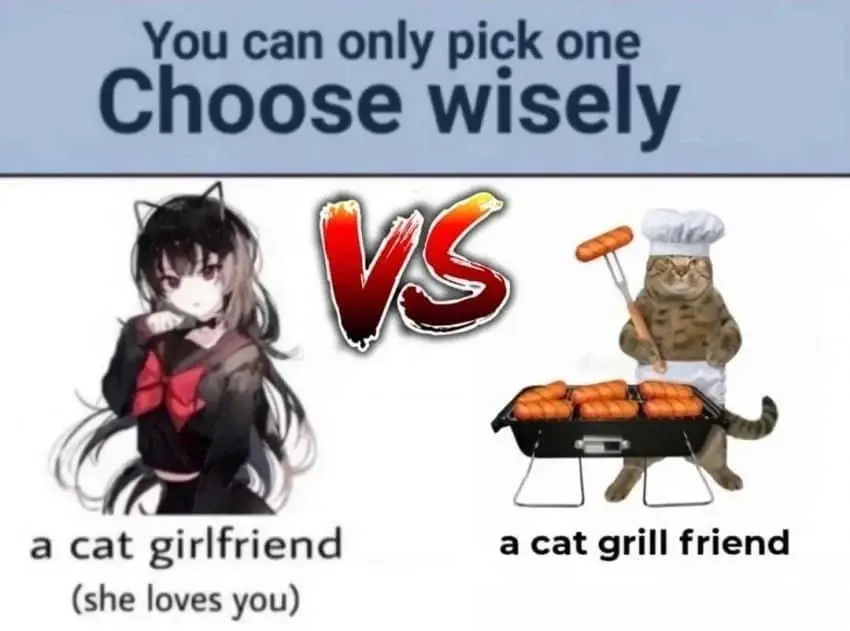 고양이 여친 vs 요리해주는 고양이_1.webp