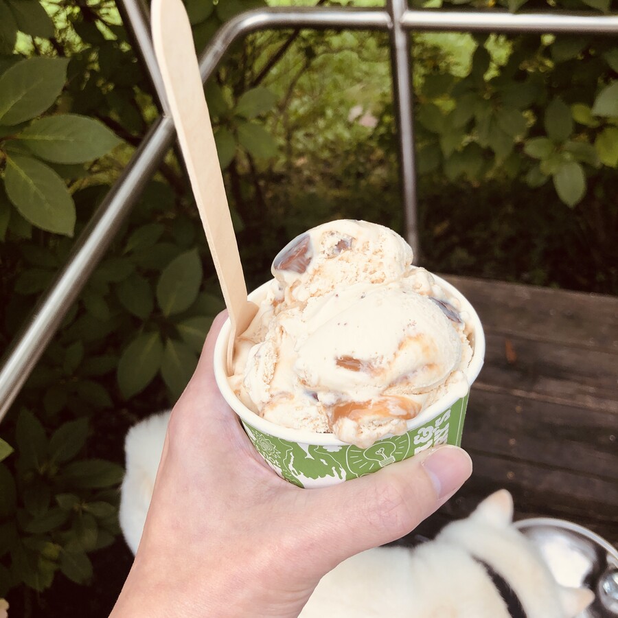 버몬트에 있는 벤앤제리 공장을 가보쟈 (스압)_29.jpg