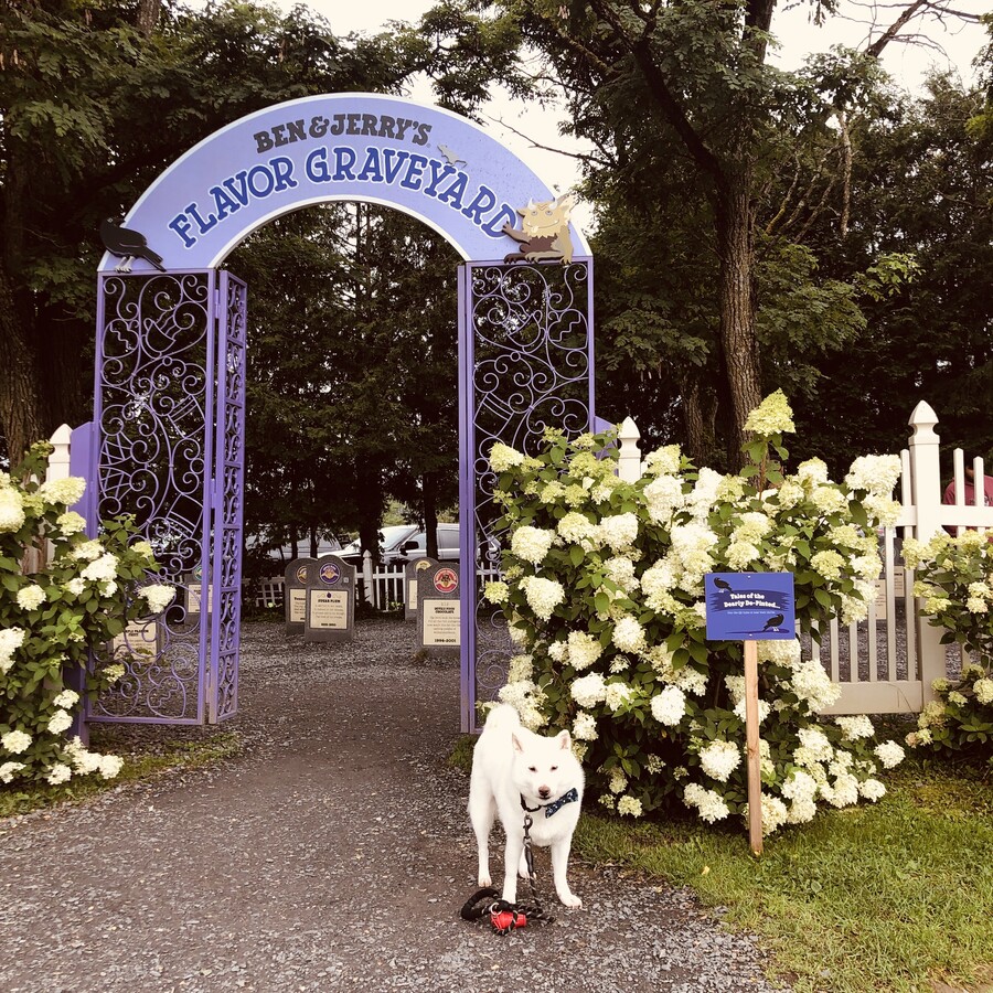 버몬트에 있는 벤앤제리 공장을 가보쟈 (스압)_30.jpg