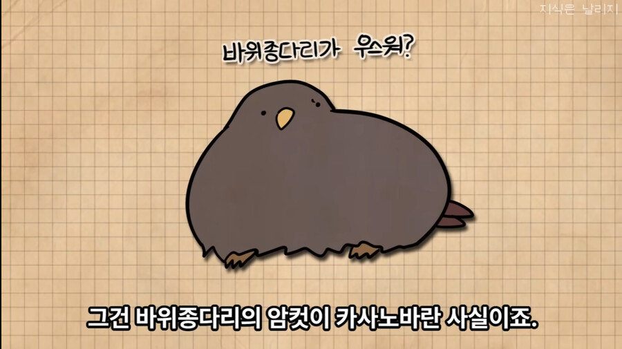 목사 : "결혼생활은 바위종다리처럼"_7.jpg