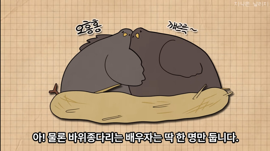 목사 : "결혼생활은 바위종다리처럼"_8.jpg