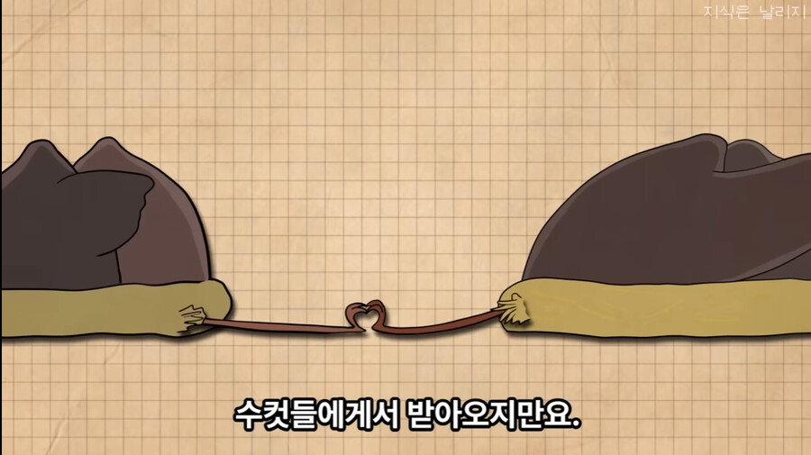 목사 : "결혼생활은 바위종다리처럼"_10.jpg