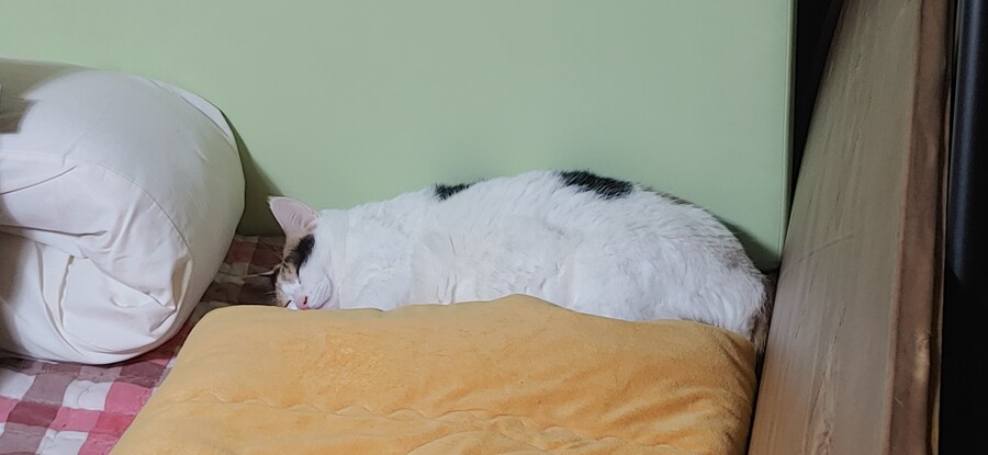 화제의 그것을 달린다!!!_9.jpg