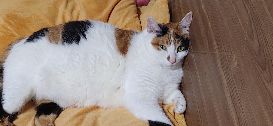 화제의 그것을 달린다!!!_7.jpg