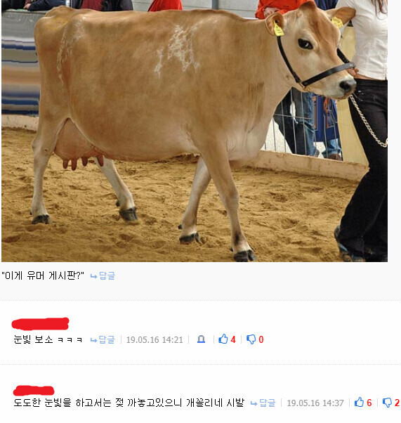 19) 젖까고 도도한 눈빛으로 남자를 보는 . JPG_1.jpeg