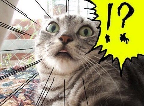 (데이터주의)오싹오싹 택견 근현대사 6편 - 결련택견협회의 비상 -_5.png