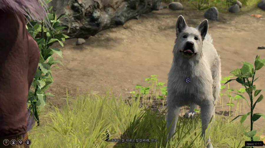 CRPG에서 몰입도 깨는거_1.webp