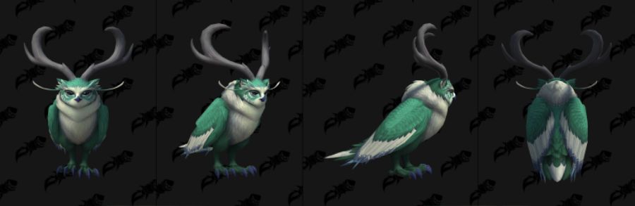 와우 용군단 10.2 신규 이세라, 피락 및 드루이드 커스터마이징 39종 추가_19.jpg