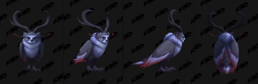 와우 용군단 10.2 신규 이세라, 피락 및 드루이드 커스터마이징 39종 추가_21.jpg