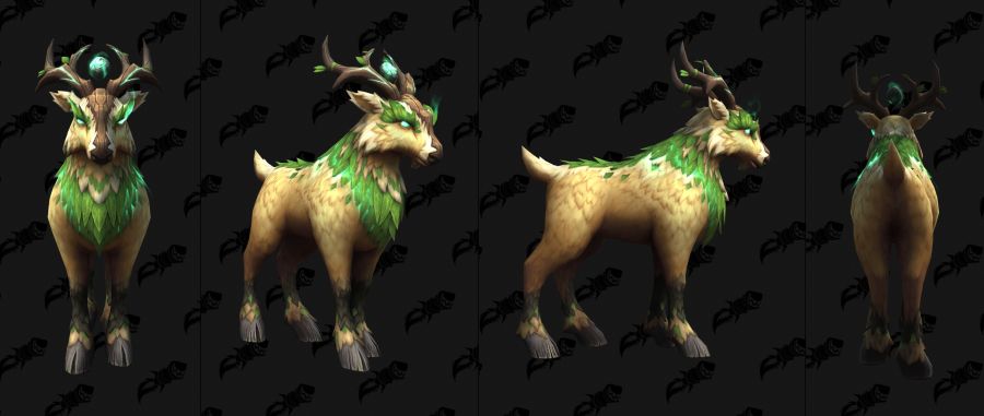 와우 용군단 10.2 신규 이세라, 피락 및 드루이드 커스터마이징 39종 추가_29.jpg