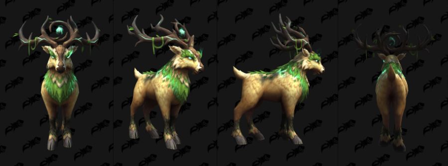 와우 용군단 10.2 신규 이세라, 피락 및 드루이드 커스터마이징 39종 추가_31.jpg