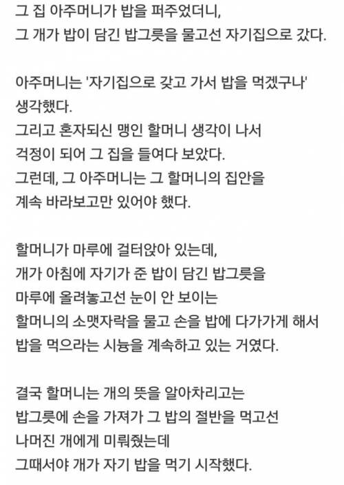 은혜를 갚는 다는 것 | 유머 게시판