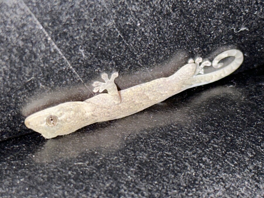 시1발 누구세요 내 집에서 나가_2.jpg