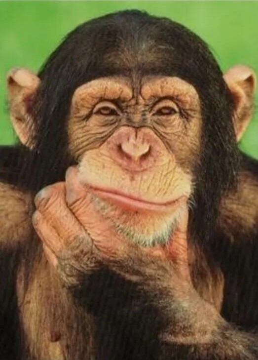 번역) 안 씻고자는 누나.pixiv_6.jpg