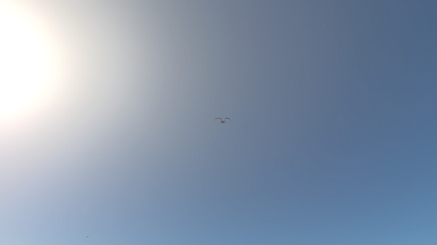 스카이림 1200시간 하고나니.._7.png