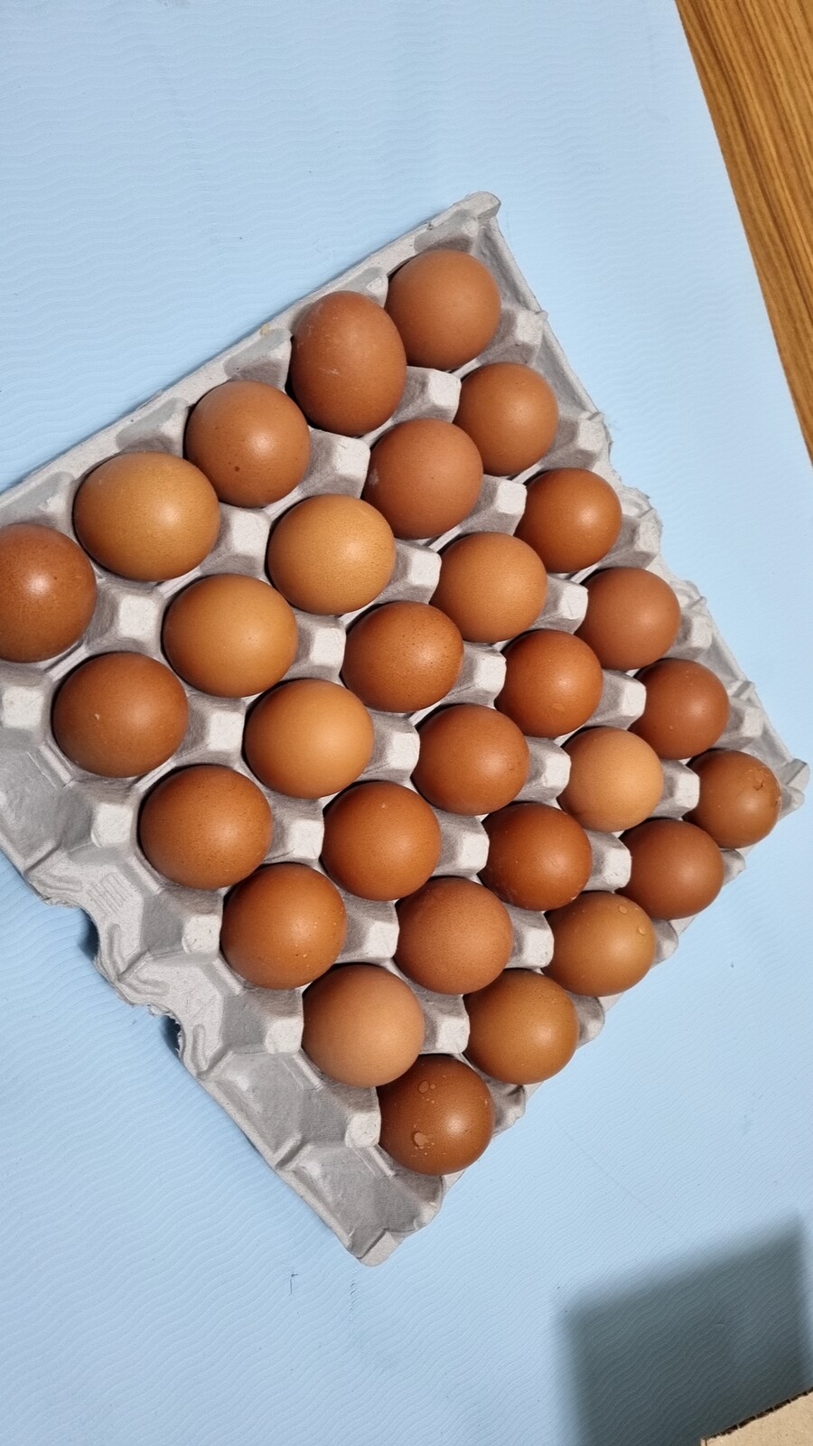 반숙란 상온보관해도 됨?_1.jpg