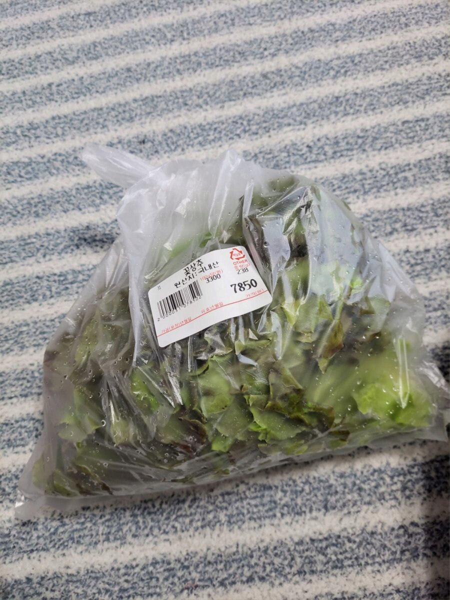 상추값.. 근황.jpg_1.png