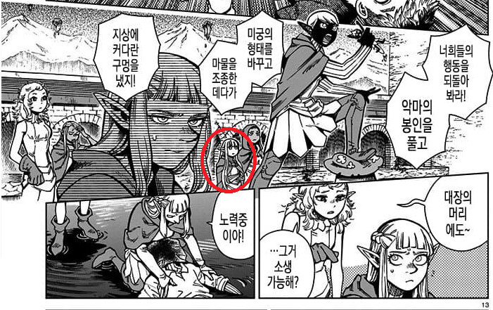 던전밥에서 라이오스를 꾸준히 싫어하는 엘프_1.png