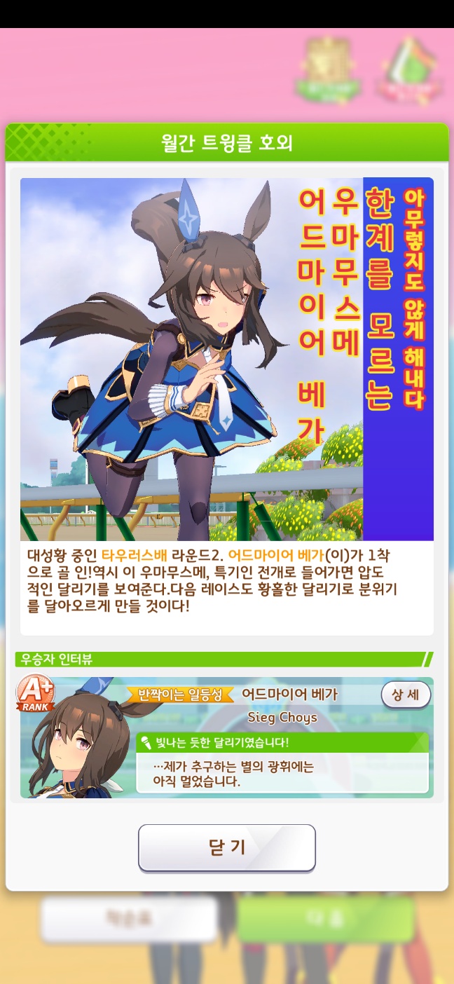 [말] 어드마이어 베가 특집_3.jpg