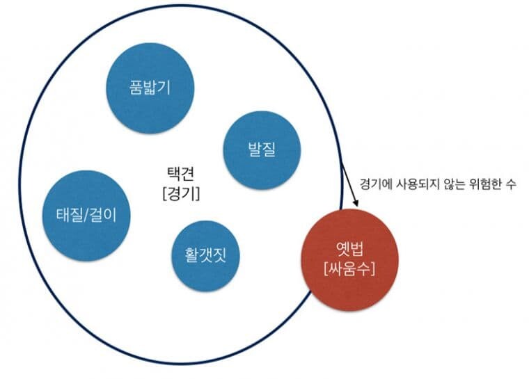 (스압)오싹오싹 택견 근현대사 10편 - 태껸춤과 정통성 논쟁 上편 -_12.jpg