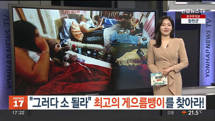 개최한지 한달이 다 되도록 우승자가 안 나오고 있는 어느 대회.jpg_1.png