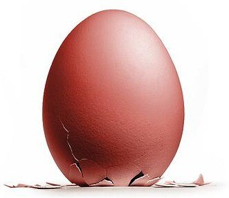 오싹오싹 택견 시리즈 -택견은 왜 주먹이 아니라 발차기부터 배웠을까? -_10.jpeg