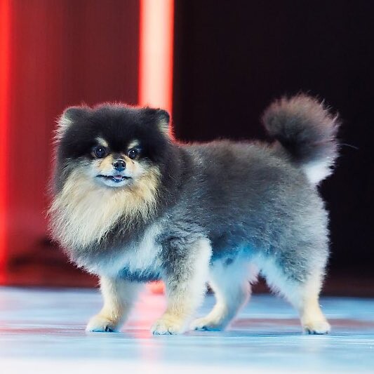 BTS) 엠카운트다운 무대 녹화한 뷔_2.jpg