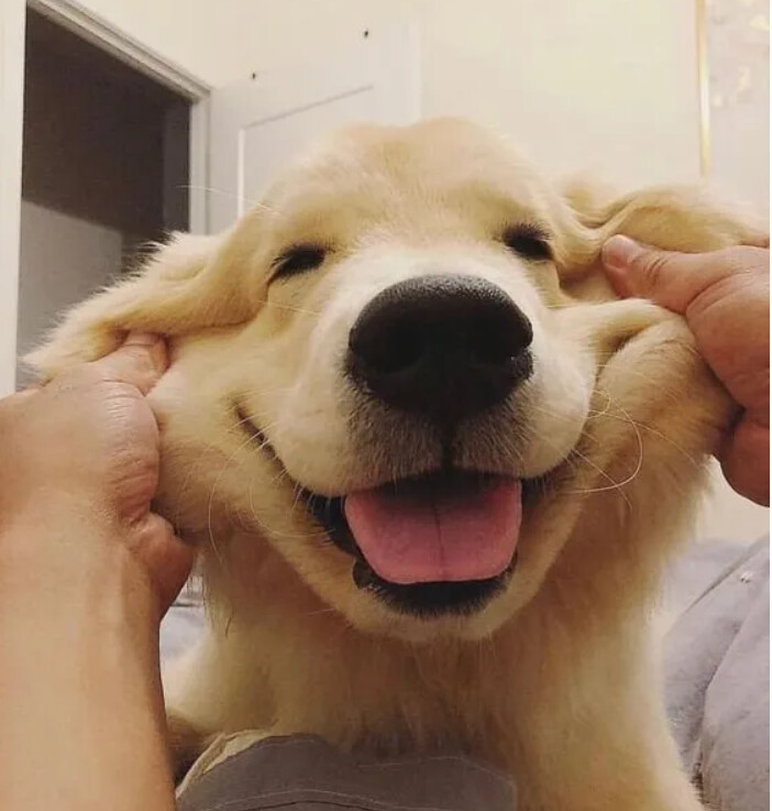 모브가 무슨 뜻이야?_1.png