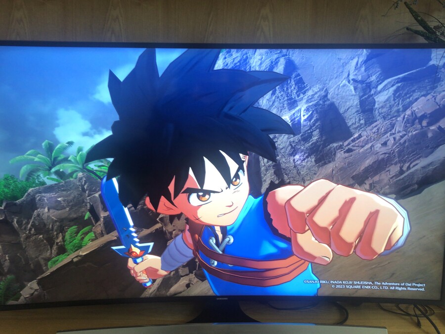 다이의 대모험 시작했습니다._1.jpeg