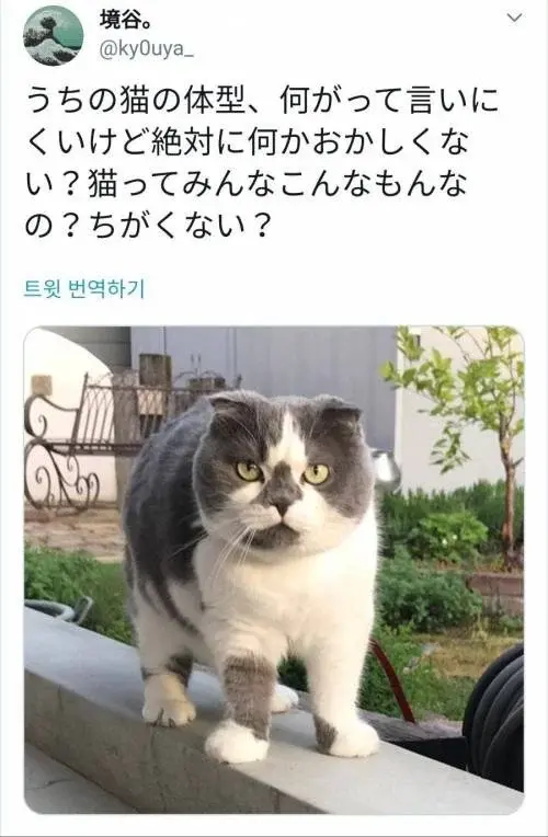 18ae66dd0ed57464f.webp
