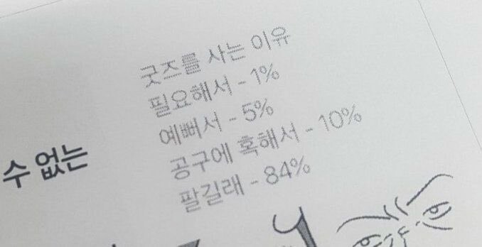 굿즈를 사는 이유.jpg_1.jpg