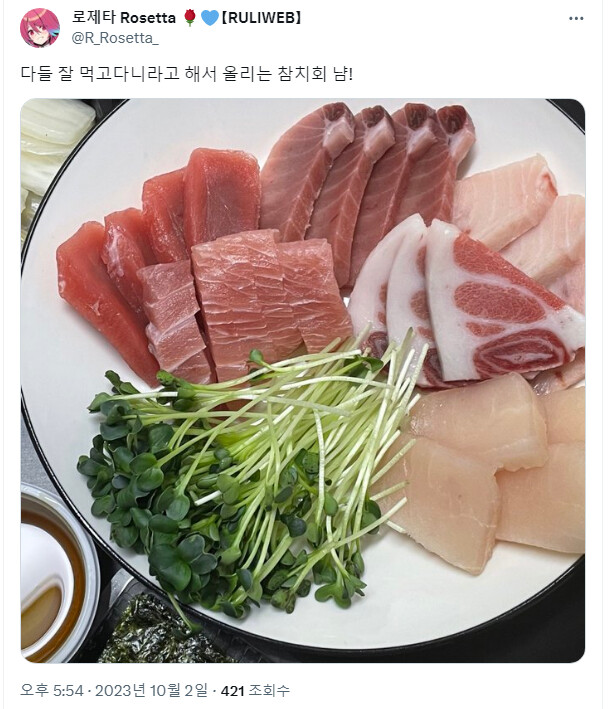 로제타) 밥을 못 먹고 다닌다던 로제타 | 유머 게시판 로제타) 밥을 못 먹고 다닌다던 로제타 | 유머 게시판 | 루리웹