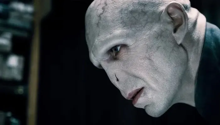 해리포터) "ㅆ1발 이 소설 밸런스 실화임?"_4.webp