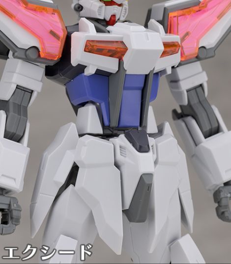 ENTRY GRADE 빌드 스트라이크 엑시드 갤럭시 해외 리뷰 2_23.jpg