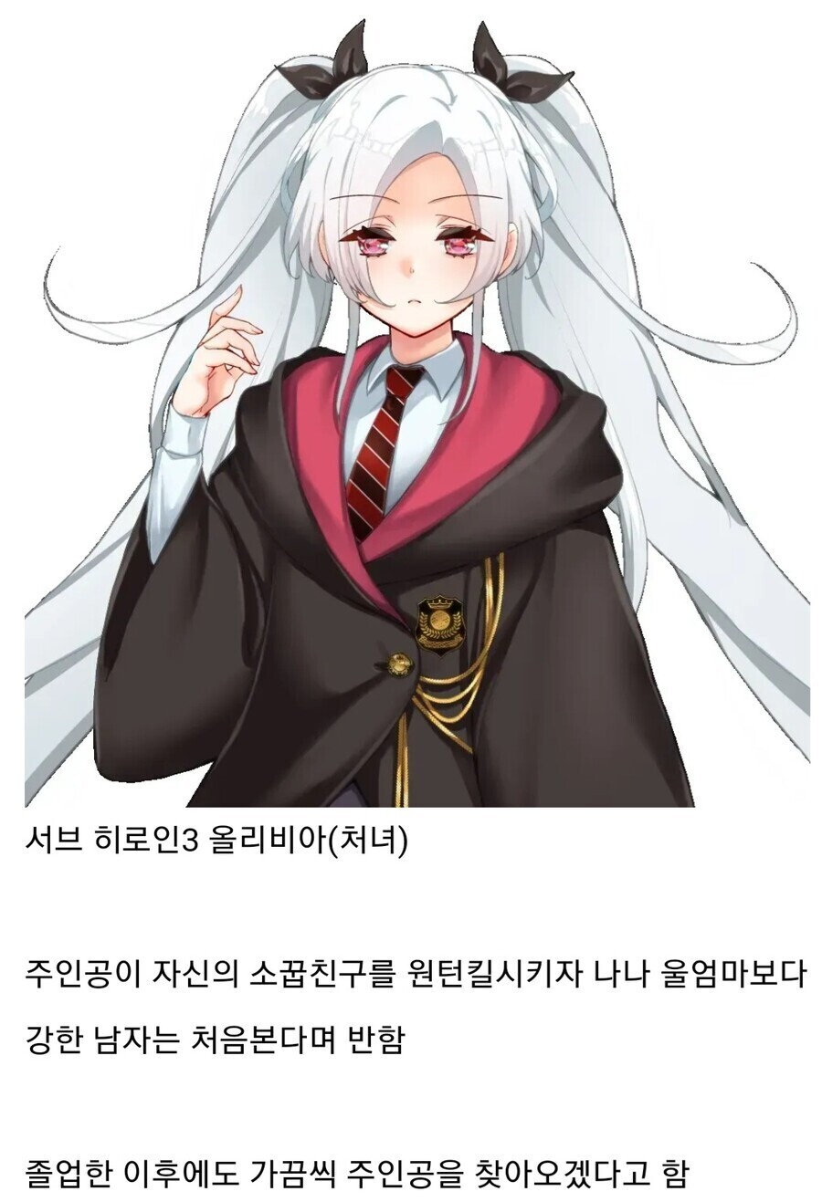 메인 히로인 루트만 있어서 제작사가 개같이 욕먹은 게임.jpg_4.jpeg