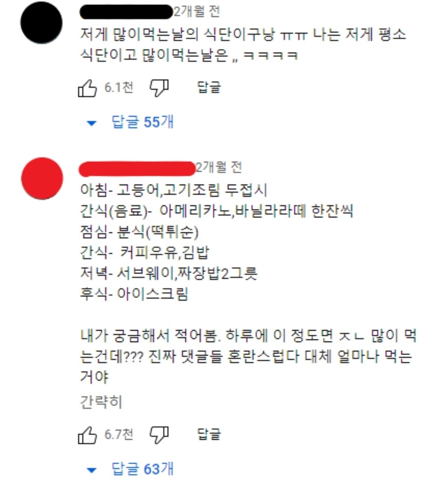 대식가 모델의 촬영날 식사량 논란.jpg_2.jpg