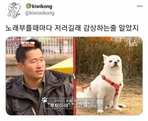 18b3e286c454a1740.webp