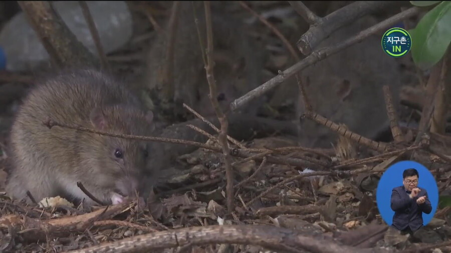 대한민국보다 잘나가는 선진국인지 애매한 유럽 국가.jpg_11.jpg