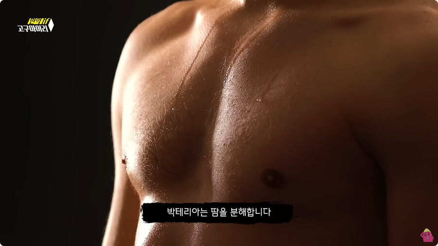 [스압] 한달 동안 머리를 감지 않으면 생기는 일.jpg_5.jpg