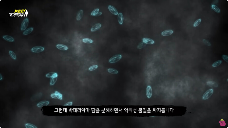 [스압] 한달 동안 머리를 감지 않으면 생기는 일.jpg_7.jpg