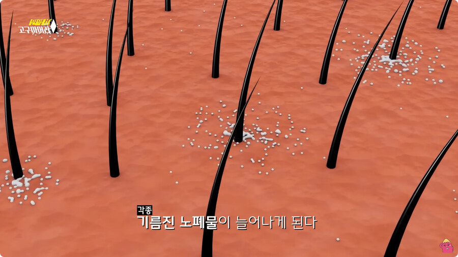 [스압] 한달 동안 머리를 감지 않으면 생기는 일.jpg_24.jpg