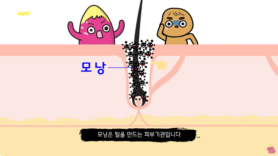 [스압] 한달 동안 머리를 감지 않으면 생기는 일.jpg_33.png