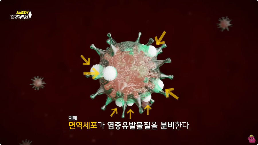 [스압] 한달 동안 머리를 감지 않으면 생기는 일.jpg_43.jpg
