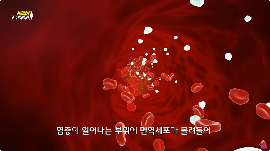 [스압] 한달 동안 머리를 감지 않으면 생기는 일.jpg_46.png