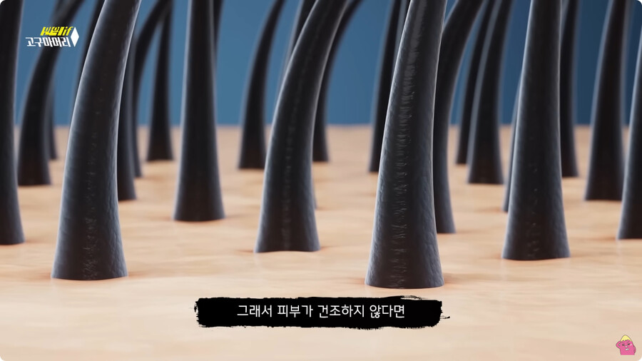 [스압] 한달 동안 머리를 감지 않으면 생기는 일.jpg_62.jpg