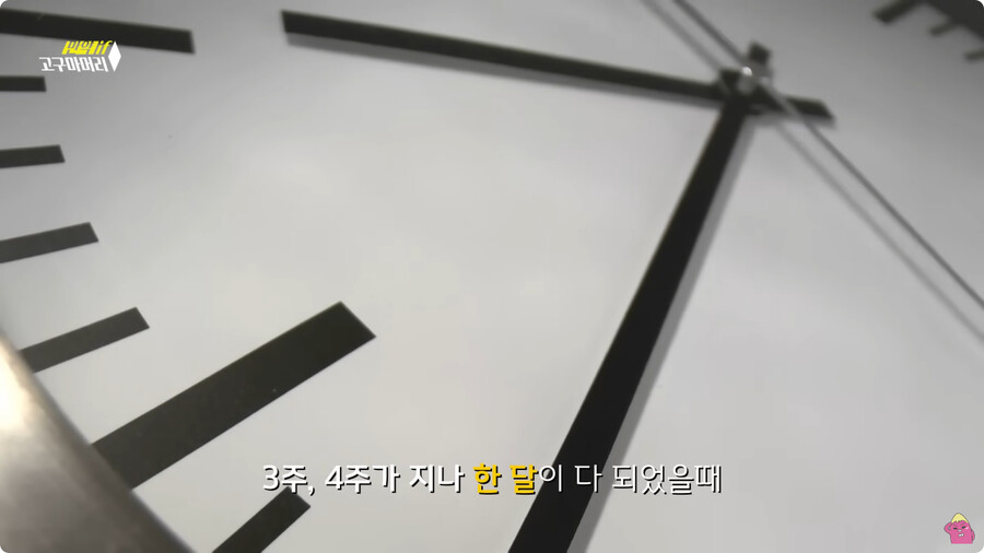 [스압] 한달 동안 머리를 감지 않으면 생기는 일.jpg_71.jpg