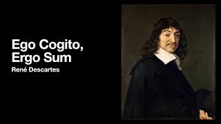원신) '숲이 모든 걸 기억'한다는 게 무슨 말일까?_30.jpg