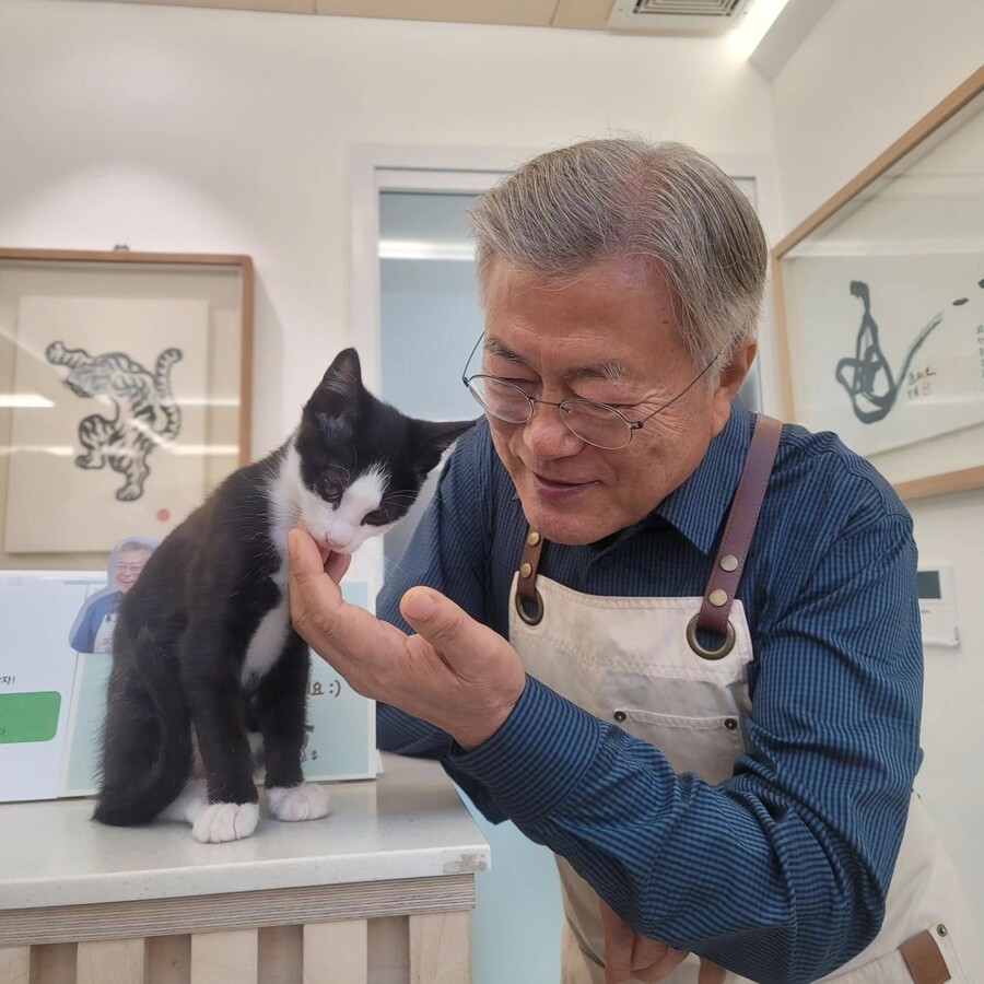 문프근황다봉이와 나